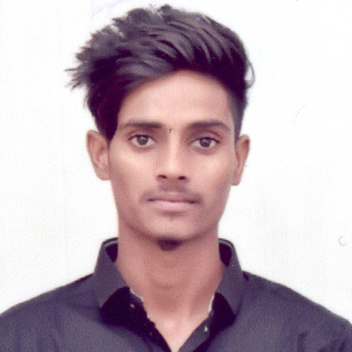 Developer