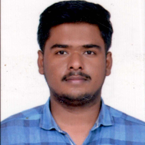 Developer