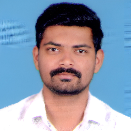 Developer
