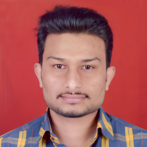 Developer