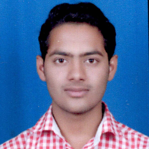Developer